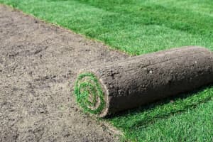 Instant Lawn Installation- Green Oasis Lawn & Reticulation