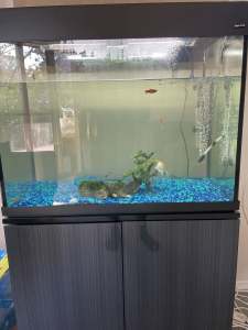 Tropical / Marine / Gold fish tank and accessories