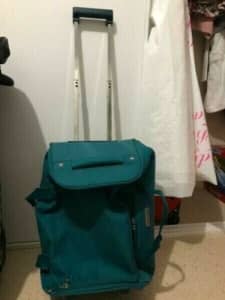 Green Luggage Bag With Trolley Handle 