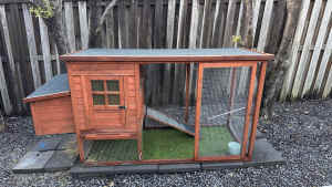 Chicken Coop and two Australorp hens