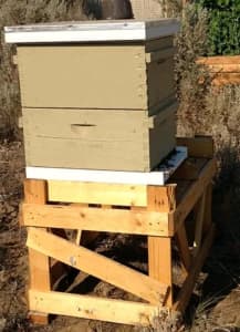 Wanted: Unwanted Bee Hives taken from you