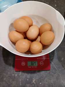 Fresh Jumbo Eggs