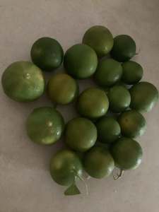 Calamansi fruit (Philippine lime)