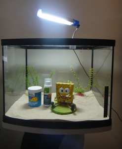 USED Fish Tank Aquarium 46L inclu. light, accessories and stand $150