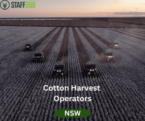 Cotton Harvest Operators