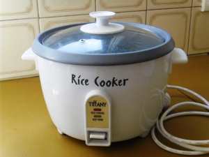 Tiffany Rice Cooker: small family size with spoon & cup p/u 3150