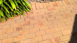 Paving bricks - great condition