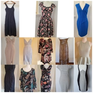Bundle of 13 size 8 Dresses including Sheike, Shona Joy, Country Road,