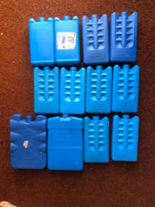 ESKY ICE COOLER BRICKS, AND COOLER BAGS