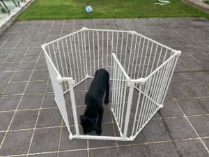 Foldable Baby / Animal Gate or Play Pen