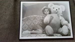 Large Framed B&W Print of Film Star Shirley Temple & Teddy Bear