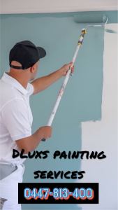 Dluxs Painting Servives 