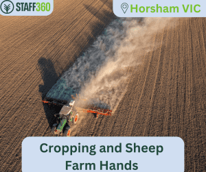 Cropping and Sheep Farm Hands