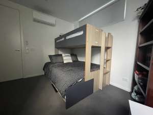 Single double bunk bed wood oak / grey