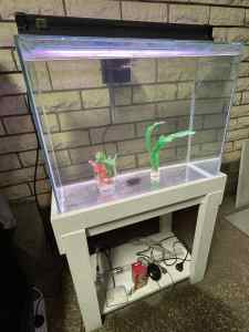 2FT Fish tank and stand with filter, light FREE accessories...