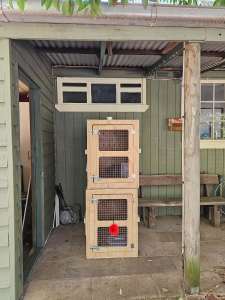 Dog crates for transport or general need.