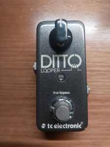 Ditto Looper Guitar Pedal t c electronic AS NEW