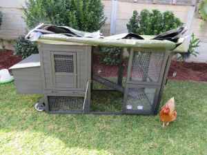 Chooks And Chicken Coop