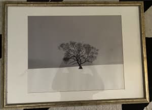 Framed - Tree Silhouete Painting
