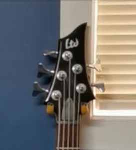 Esp Ltd 5 string bass br 55