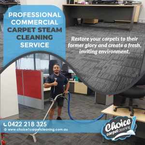 Commercial Steam Cleaning Service 