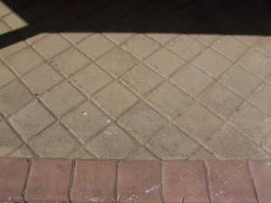 FREE Midland brick driveway pavers