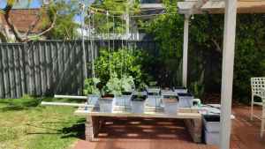 Full hydroponics setup