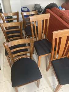 6 Hardwood Chairs with soft seats