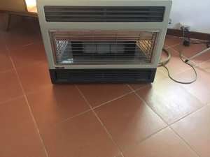 Gas heater (natural gas) Rinnai - works well 