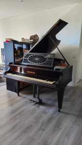 C Bechstein grand piano 