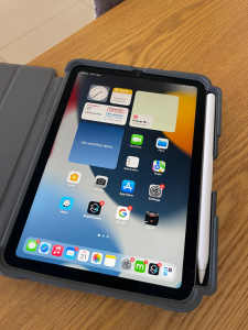 Near new Apple iPad mini (with case and Apple Pencil)
