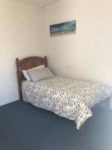single room for male $150