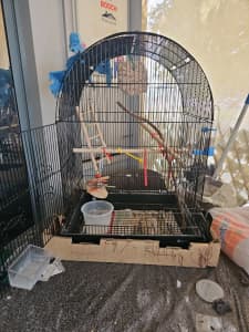 Medium size bird cage 