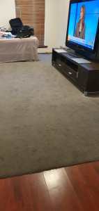 Carpet: LARGE grey carpet 