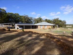 Large modern home on rural lifestyle block