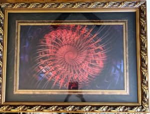 Red Swirl / Spiral framed artwork in gold frame and glass 