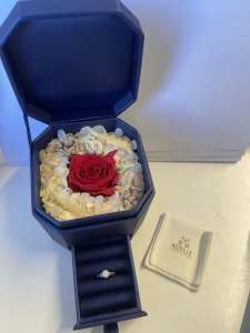 [NEGOTIABLE] Diamond Ring (Special edition box)