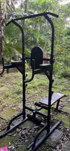 Chin and dip power stand with weights bench