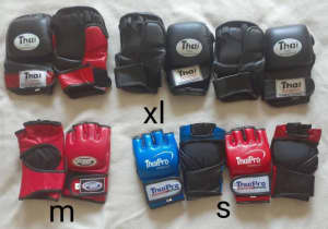 Mma gloves and shin pads