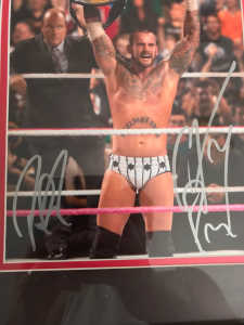 Wwe signed authentic collectables plagues