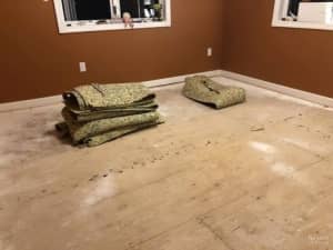 Carpet & Flooring Rip Outs