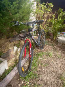 Mountain bike - bicycle