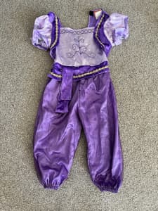 NEAR NEW Nickelodeon Shimmer and shine Shimmer costume child 3-5yrs