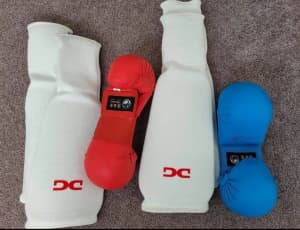 Karate Gloves Shin pads in excellent condition