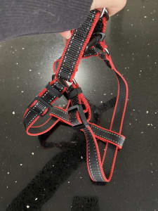Large Dog Harness (black and red)