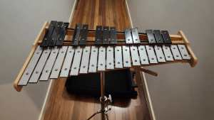 Glockenspiel percussion kit for school students