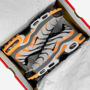 Nike Air Max Plus TN Wolf Grey Orange