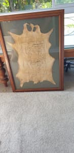Vintage map of New Zealand Middle Island dated 1904 on skin