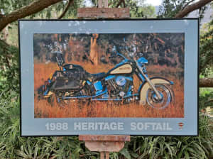 Large Harley Davidson Official1988 Softail Heritage Framed Glass 