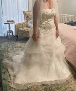 Brandnew Wedding Dress